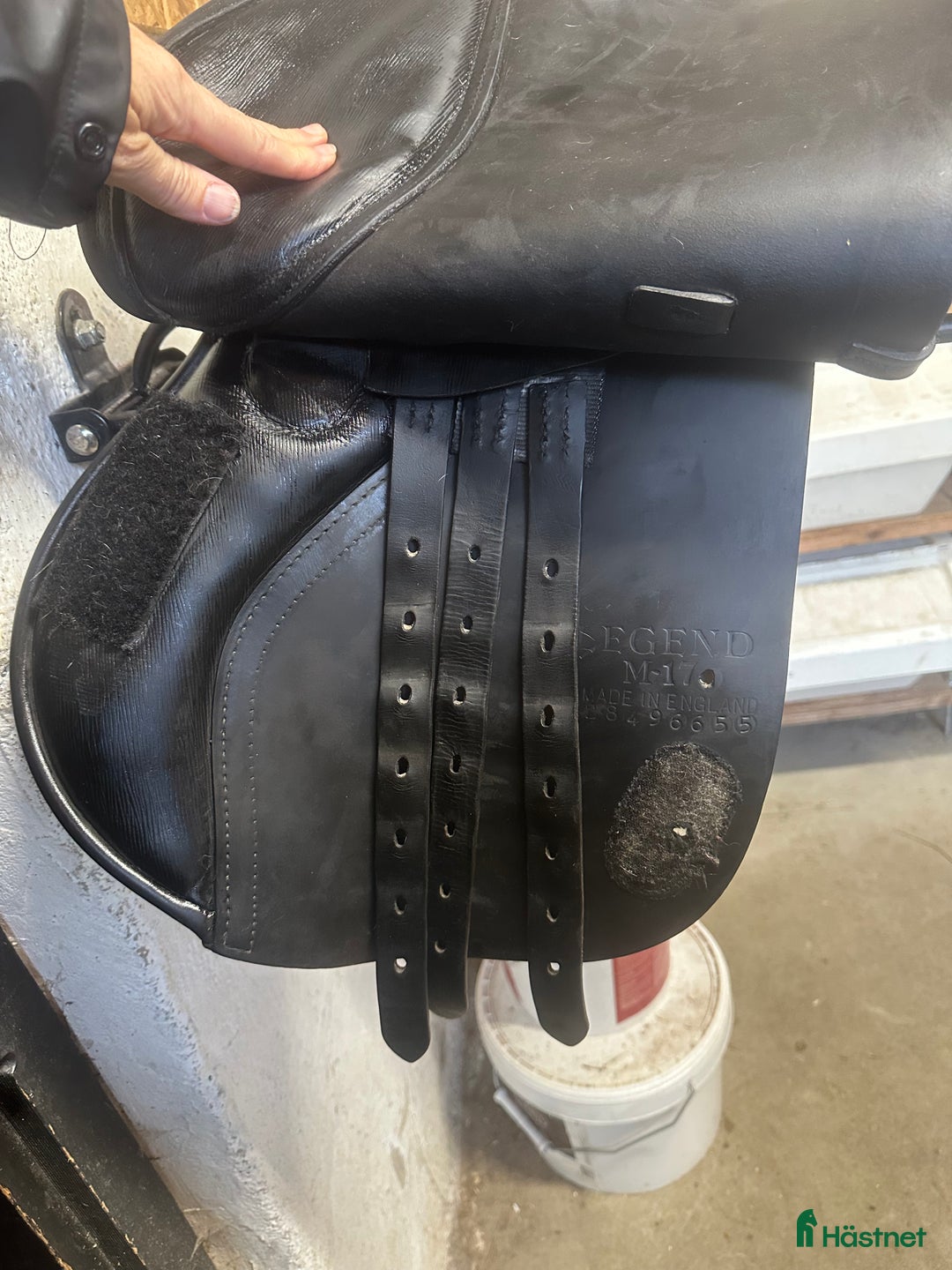 Sadlar hästutrustning till salu:  Albion legend hoppsadel 17tum  i Örebro - Annons 9