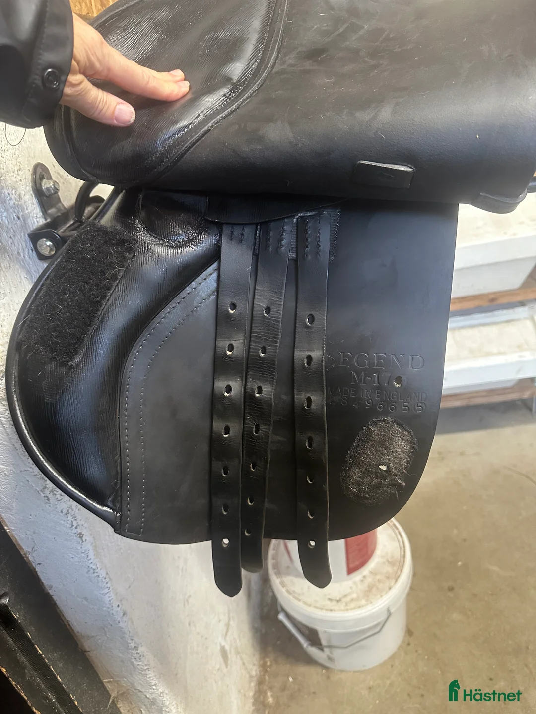 Sadlar hästutrustning till salu:  Albion legend hoppsadel 17tum  i Örebro - Annons 9