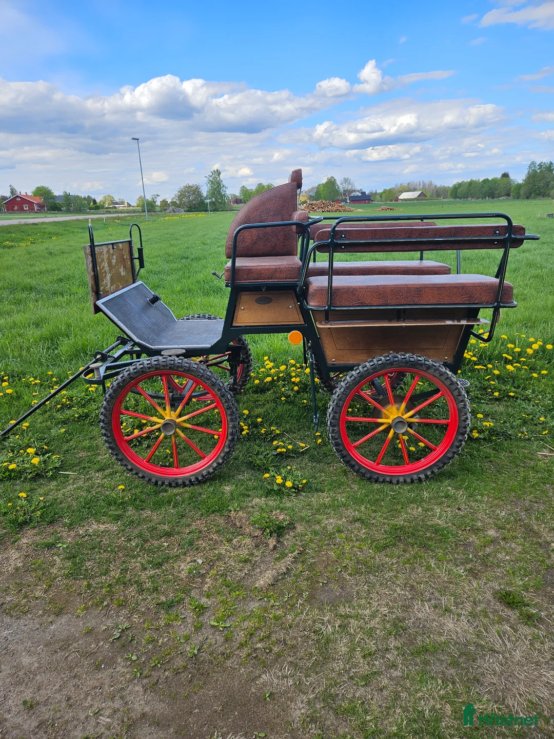 Körvagnar körning till salu: Wagonette  - Annons 1