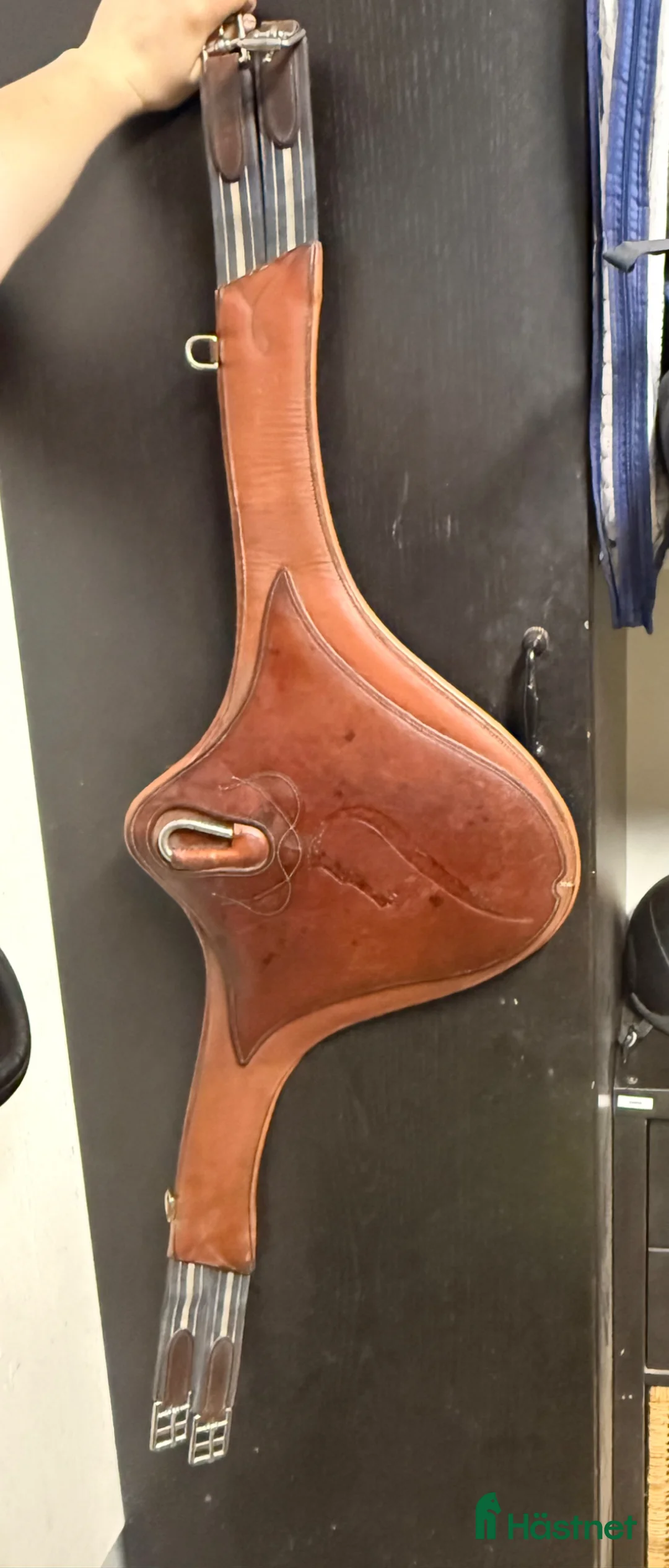 Sadeltillbehör hästutrustning till salu: Antares magplatta - Annons 1