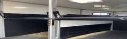 Hästtransporter  fordon & transport till salu: Umesläp - Annons 9