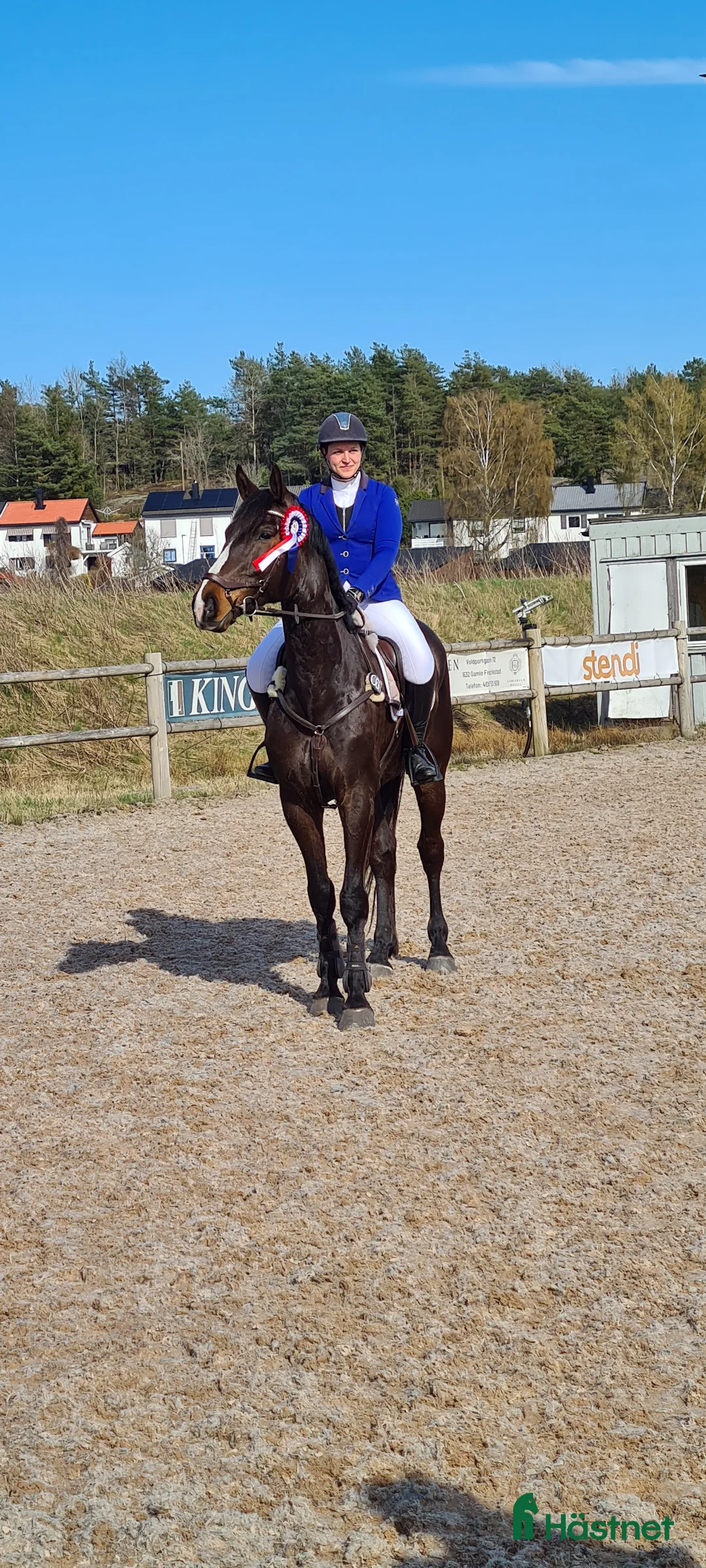 Hoppning hästar till salu: Fälttävlan/hopphest som elsker å jobbe i Råde - Annons 7