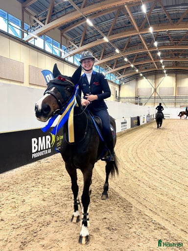 Galleribild {{count}}