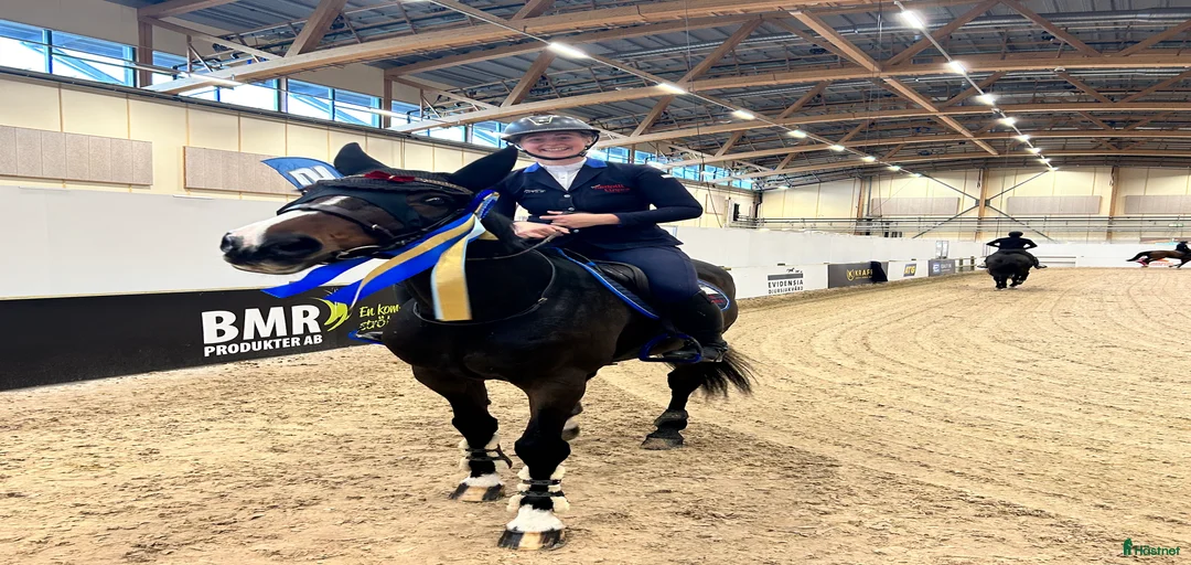 Galleribild {{count}}