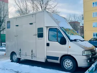 Hästlastbilar fordon & transport till salu: Hästlastbil B-kort med dragkrok - Annons 2