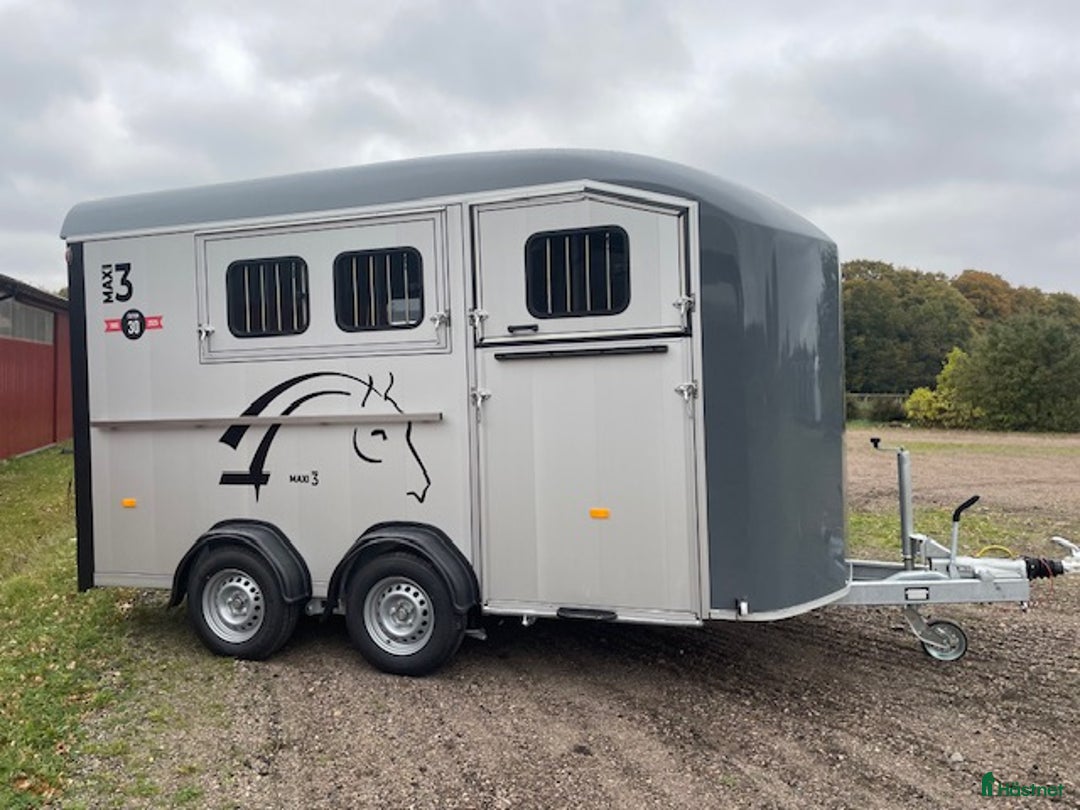 Hästtransporter  fordon & transport till salu: Nyinkommet! Maxi 3 med extrautr i Hjärnarp - Annons 1