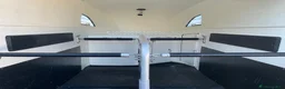 Hästtransporter  fordon & transport till salu: Böckmann Big Master - Annons 4