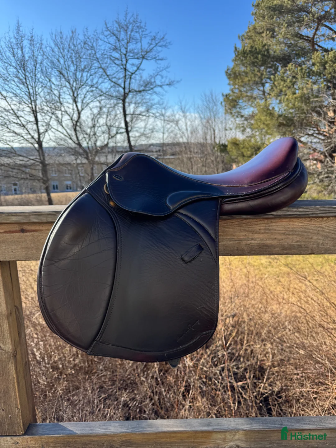 Sadlar hästutrustning till salu: Santa Cruz Merino Hoppsadel  i Härnösand - Annons 2