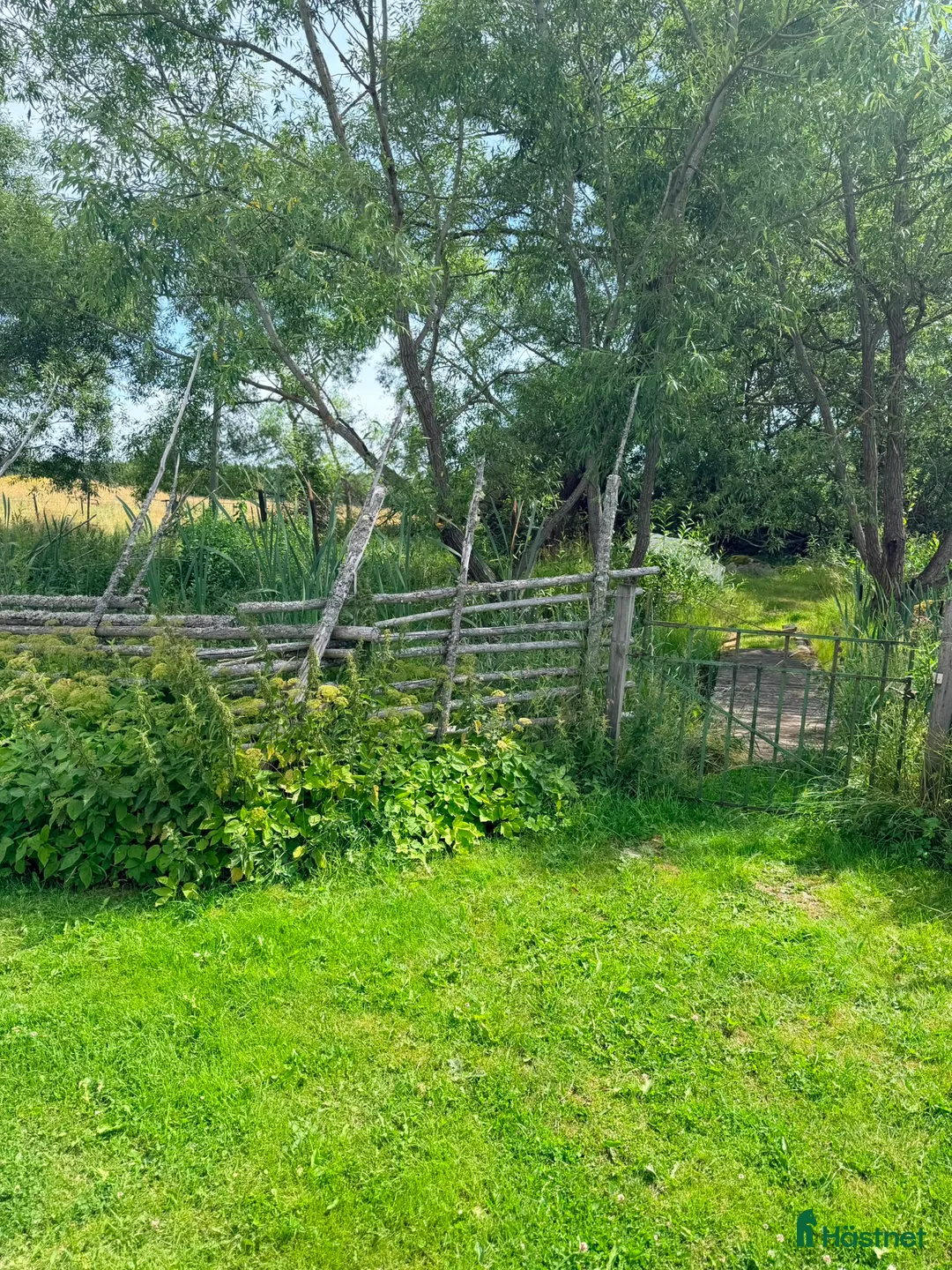  stallplats finnes: Lösdriftsplats med eller utan egen box finnes  i Vallentuna - Annons 2