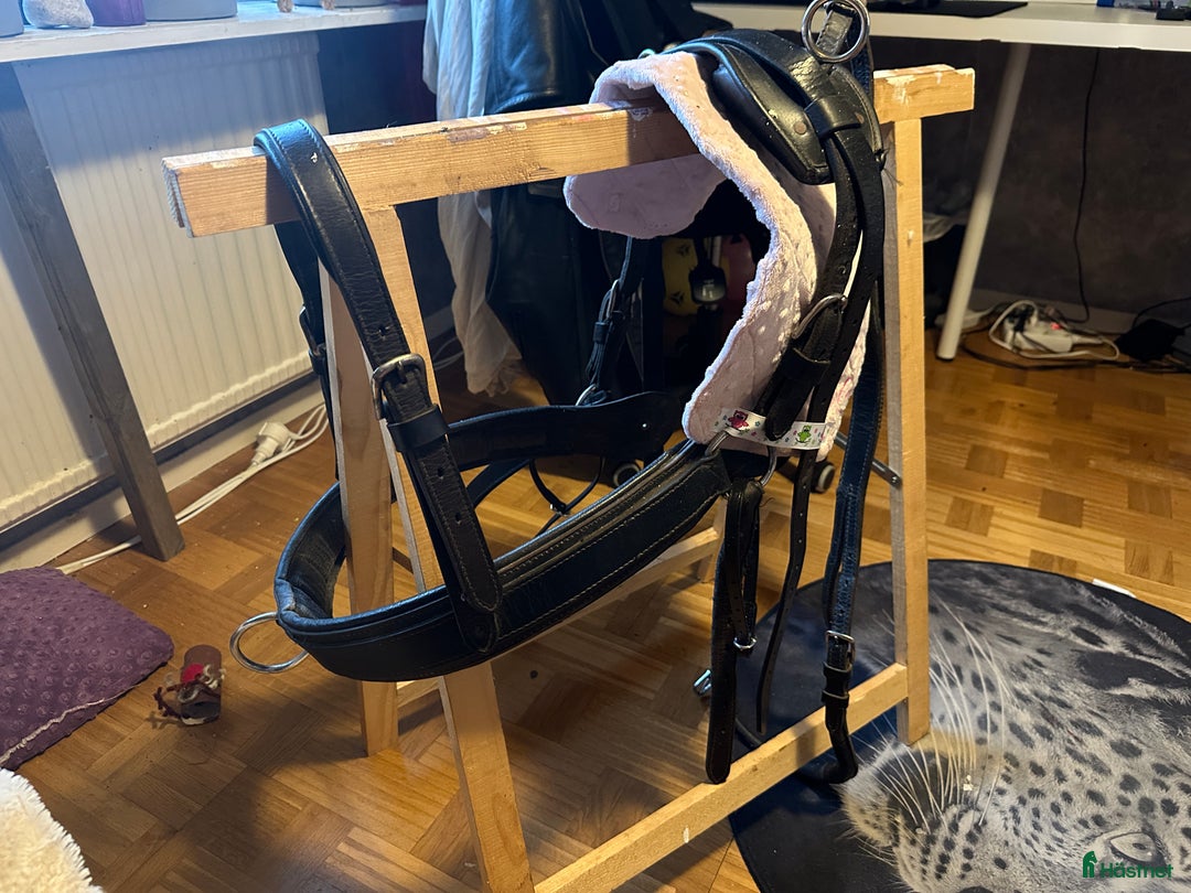 Körselar körning till salu: Bröstsele ponny  i Malmbäck - Annons 3