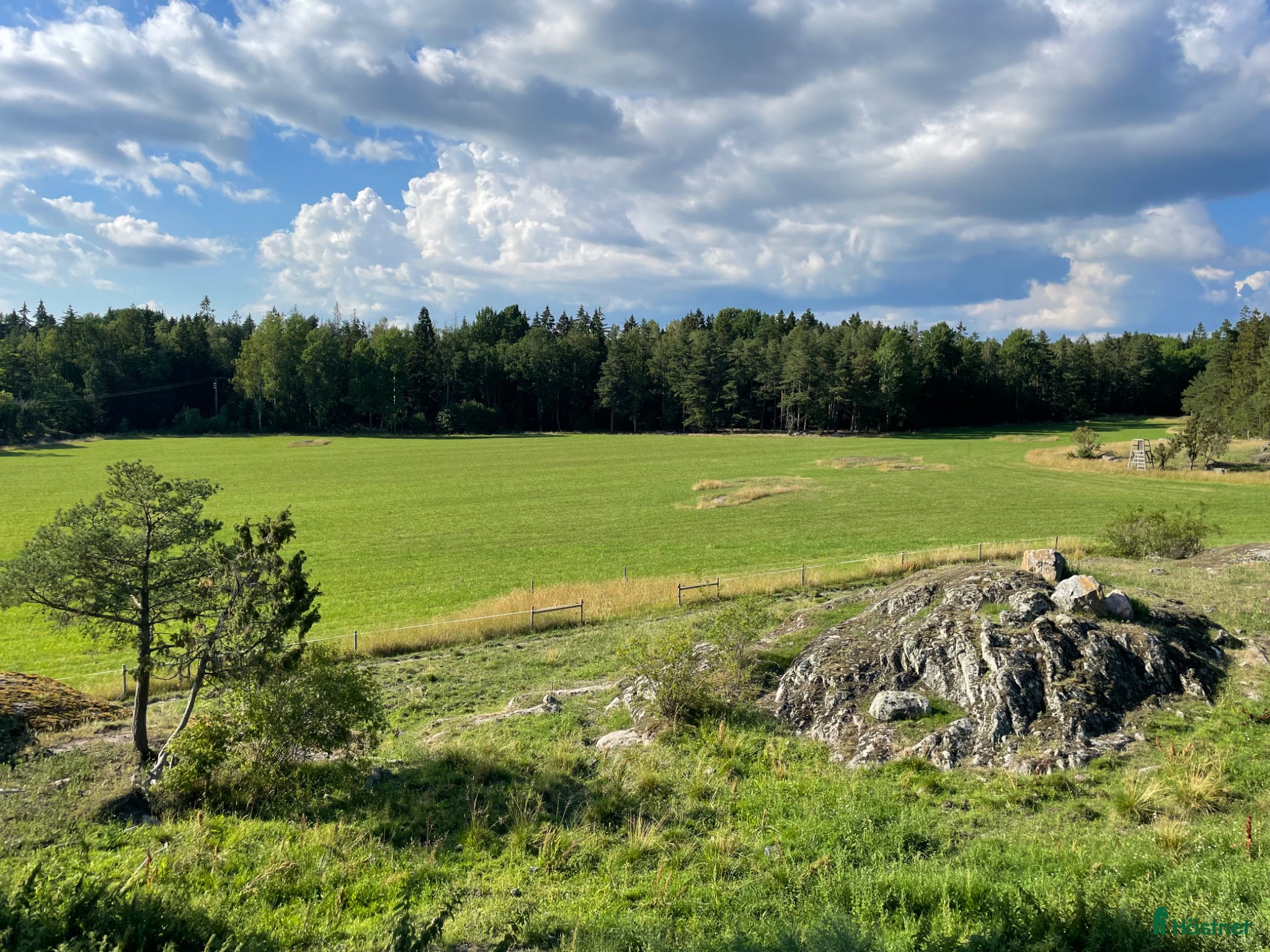  stallplats Långt sommarbete, lösdrift med fullservice - Annons 1