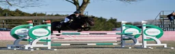 Hoppning hästar till salu: FEI Showjumping Pony - Annons 3
