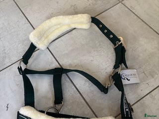 Övrig Hästutrustning hästutrustning till salu: Grimmor i Härryda - Annons 3