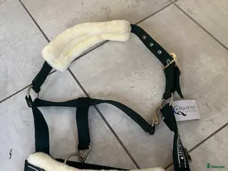 Övrig Hästutrustning hästutrustning Grimmor i Härryda - Annons 23