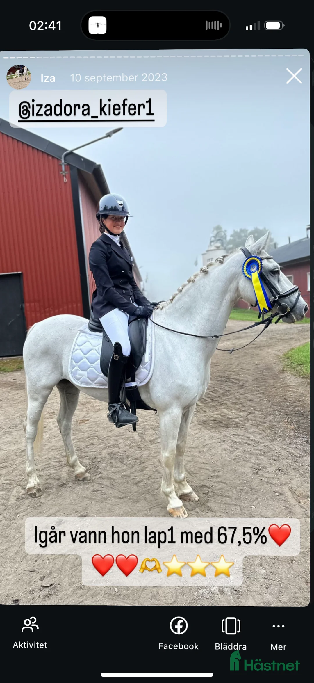 Dressyr hästar till salu: Sago ponny fei-dressyr i Norrköping - Annons 7