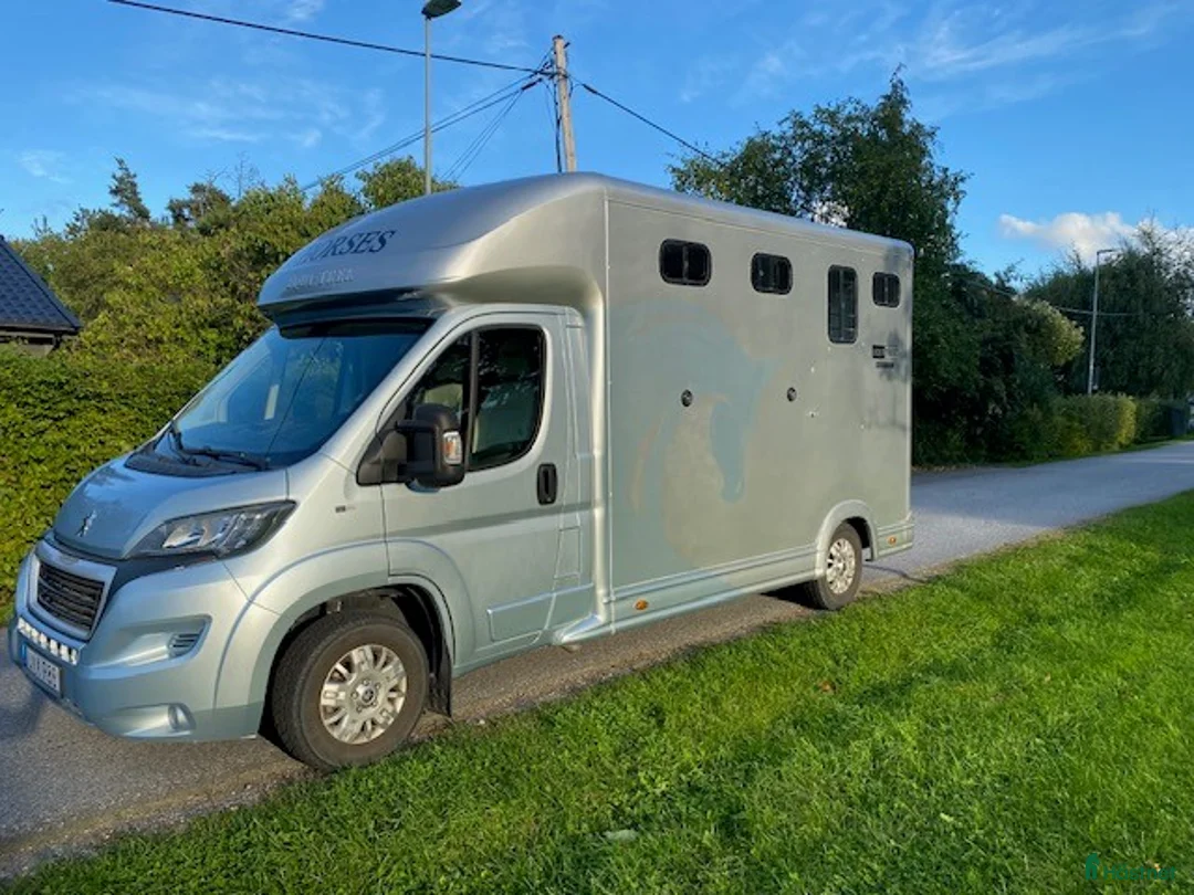 Hästlastbilar  fordon & transport till salu: Peugeot Equi-Trek 2018, lågmilare. - Annons 1