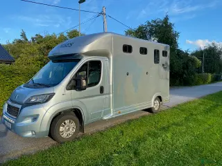 Hästlastbilar fordon & transport till salu: Peugeot Equi-Trek 2018, lågmilare. - Annons 4