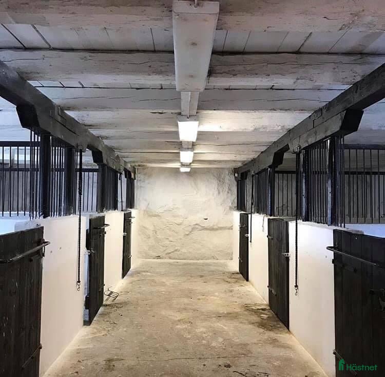  stallplats Lediga stallplatser - Annons 8