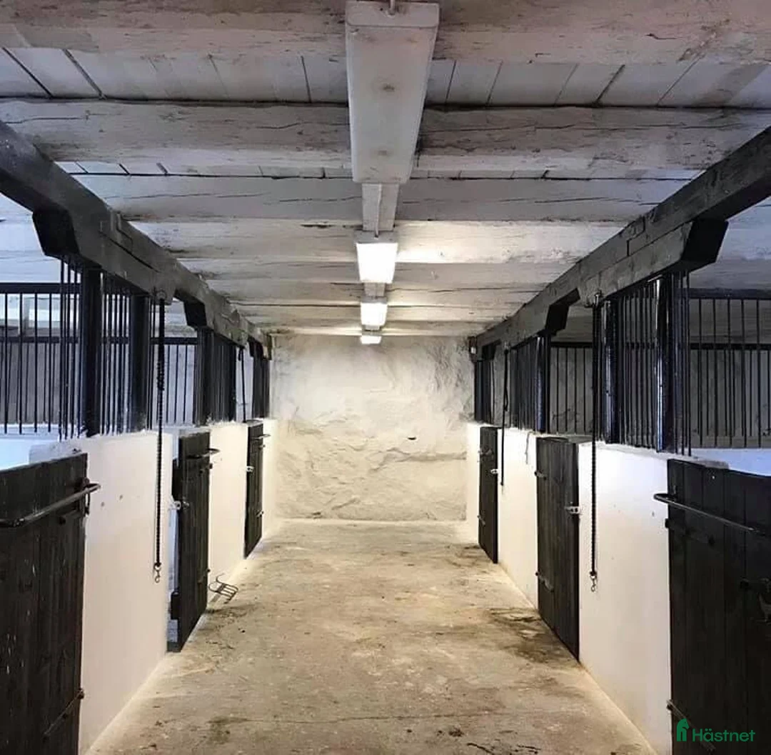  stallplats finnes: Lediga stallplatser - Annons 1