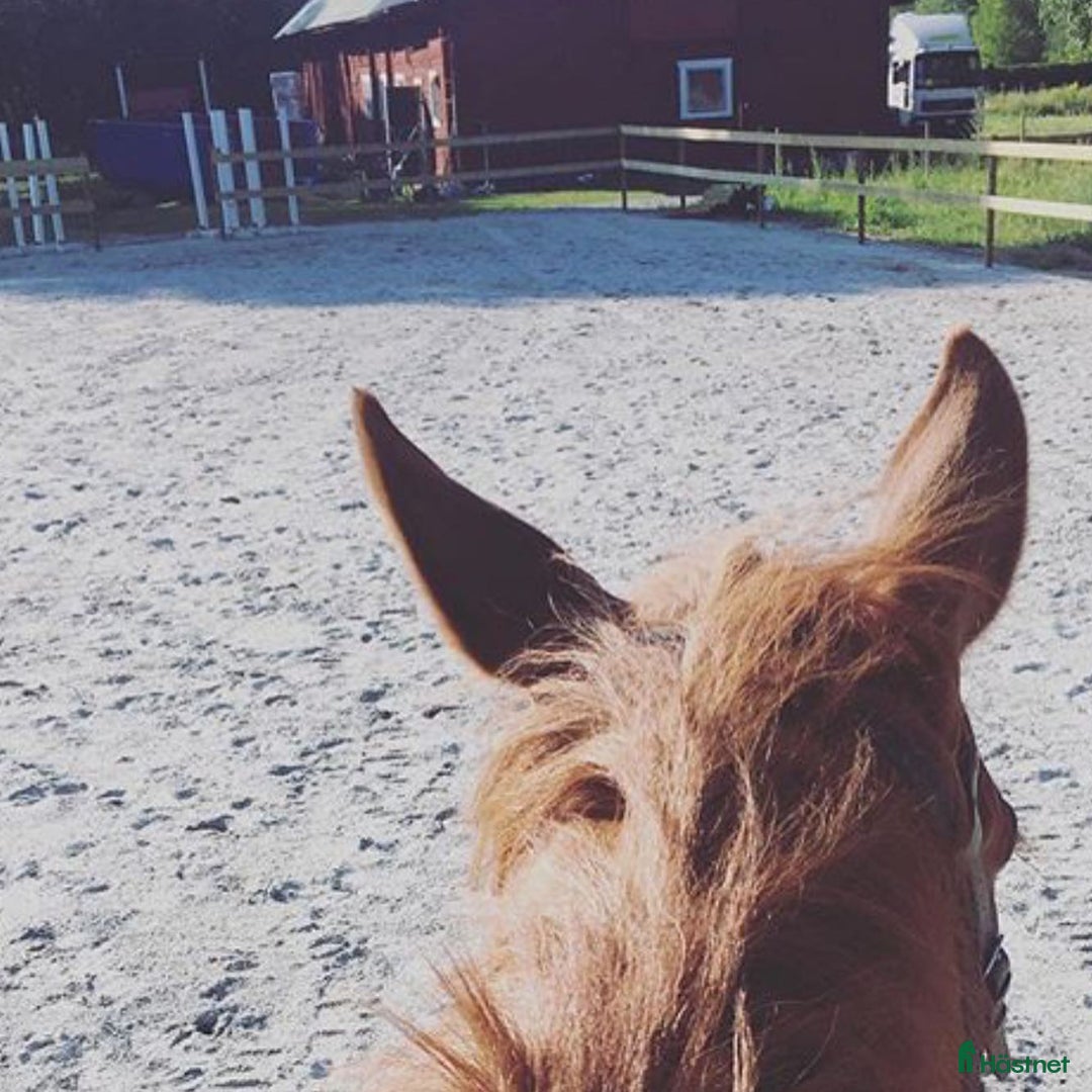  stallplats finnes: Stallplats Västerås, Badelunda i Västerås - Annons 3