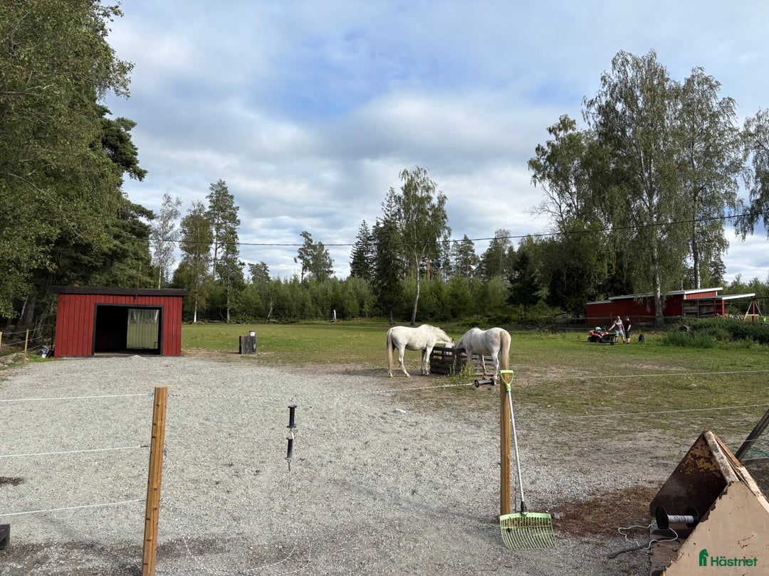  stallplats finnes: Lediga boxplatser i Vallentuna - Annons 11