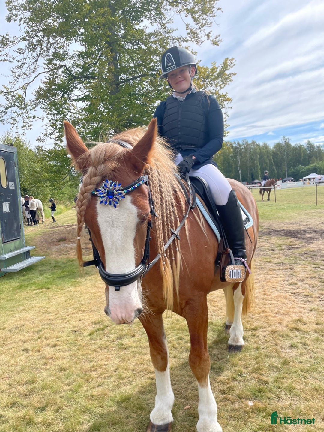 Allround hästar till salu: Skogsmulle/familje ponny i Löttorp - Annons 2