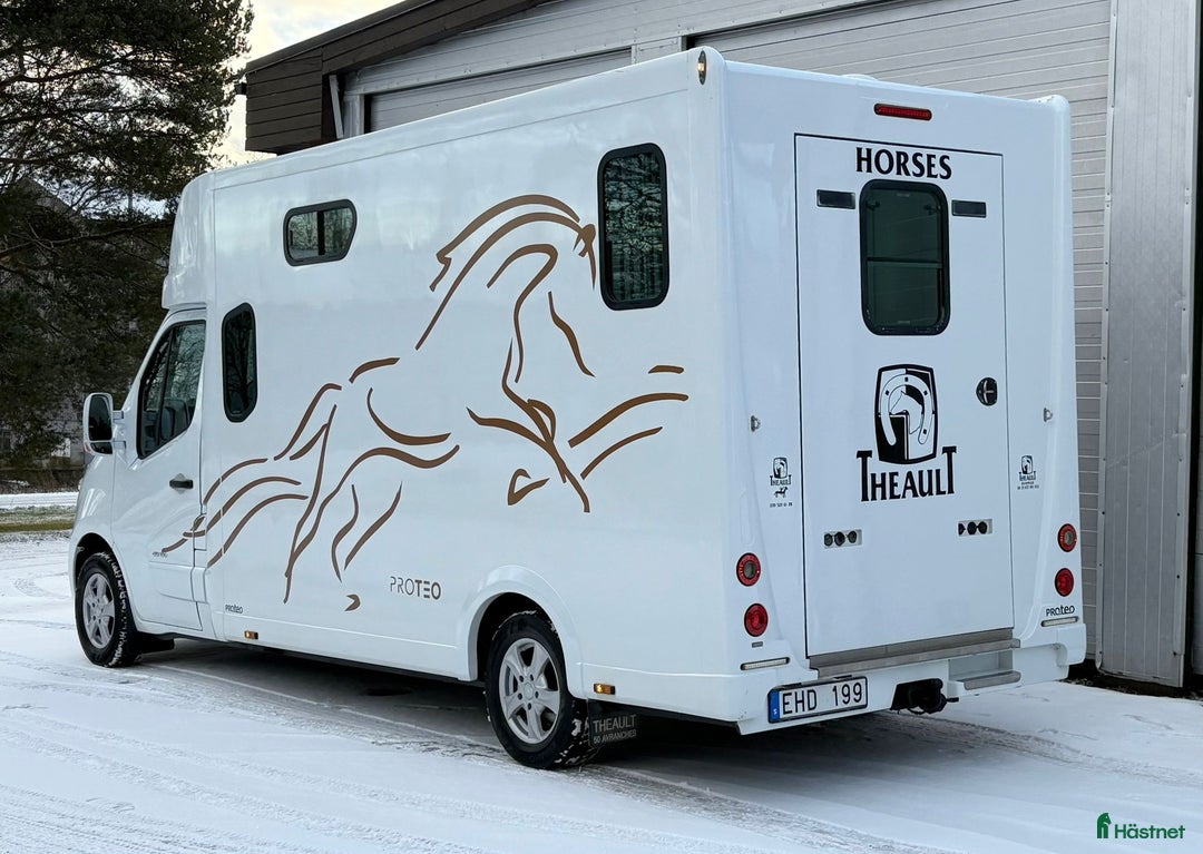 Hästlastbilar  fordon & transport till salu: 5-sitsig Theault Proteo STUTERI hästlastbil  i Stockholm - Annons 4