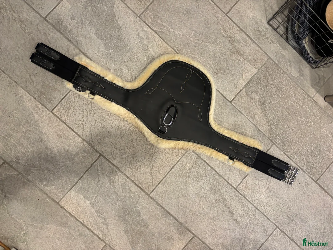 Sadeltillbehör hästutrustning till salu: Anatomisk sadelgjord, magplatta säljes i Västra Frölunda - Annons 1