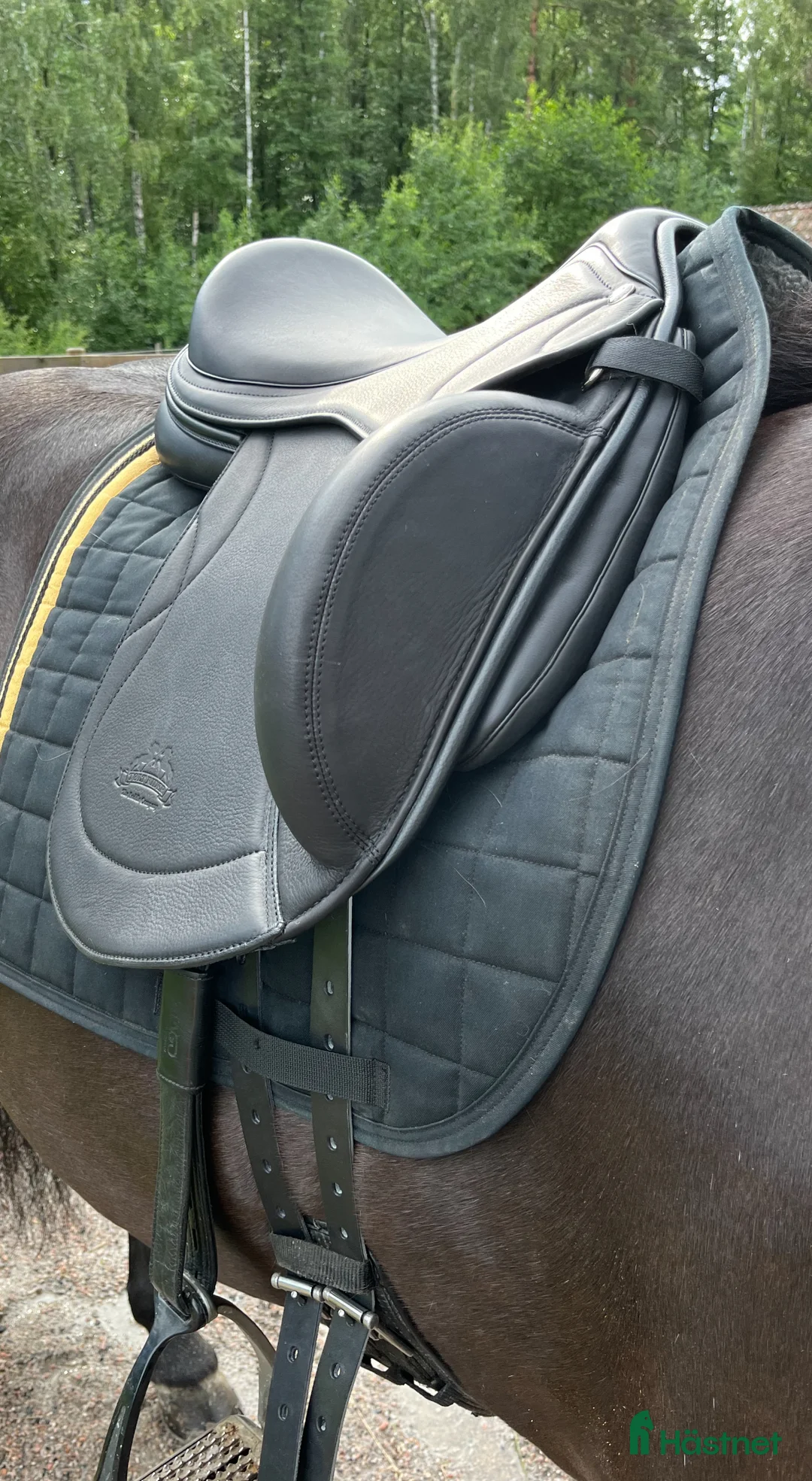 Sadlar hästutrustning till salu: Töltrider saga ullstoppad 17 tum i fint skick  - Annons 2