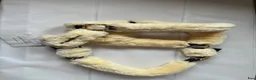Övrig Hästutrustning hästutrustning till salu: NWT Fluffgrimma ifrån Kentucky - Annons 2