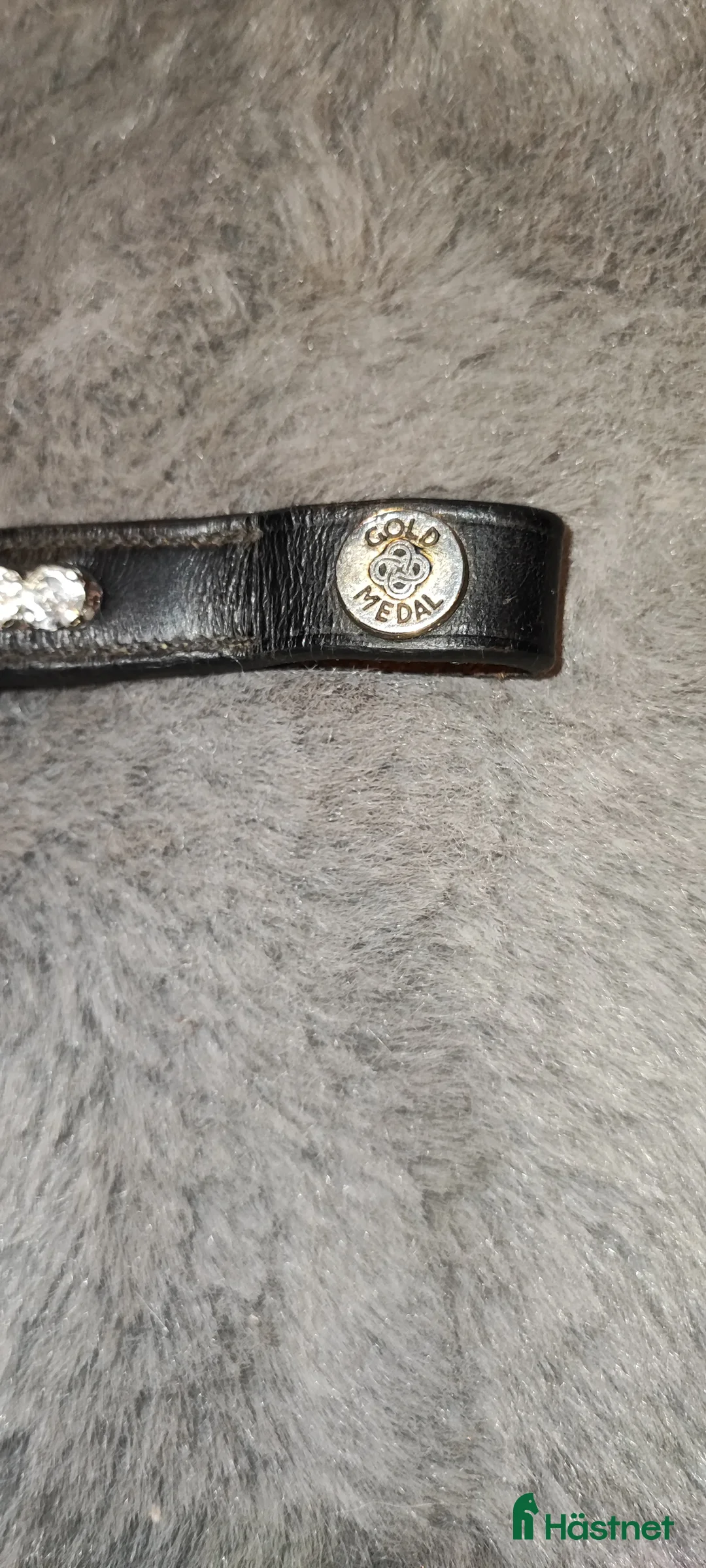 Övrig Hästutrustning hästutrustning till salu: Pannband  i Frövi - Annons 7