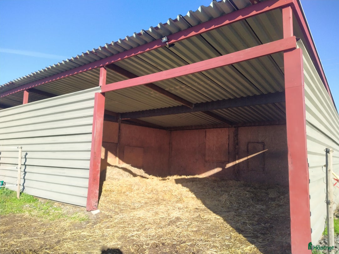  stallplats finnes: Hästboxar att hyra på en fantastisk tomt.  i Tomelilla - Annons 26