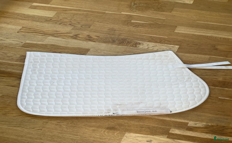 Schabrak & Vojlockar hästutrustning till salu i Älmhult - Annons 13