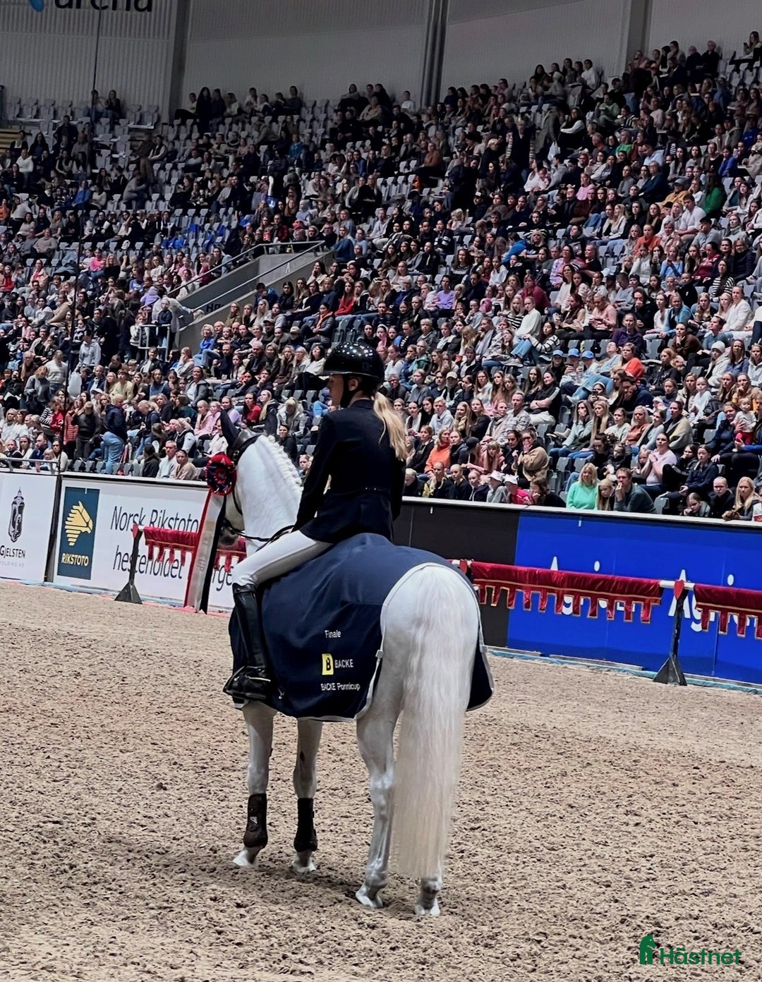 Hoppning hästar till salu: Topp kat.1 ponni til salgs i Bryne - Annons 19