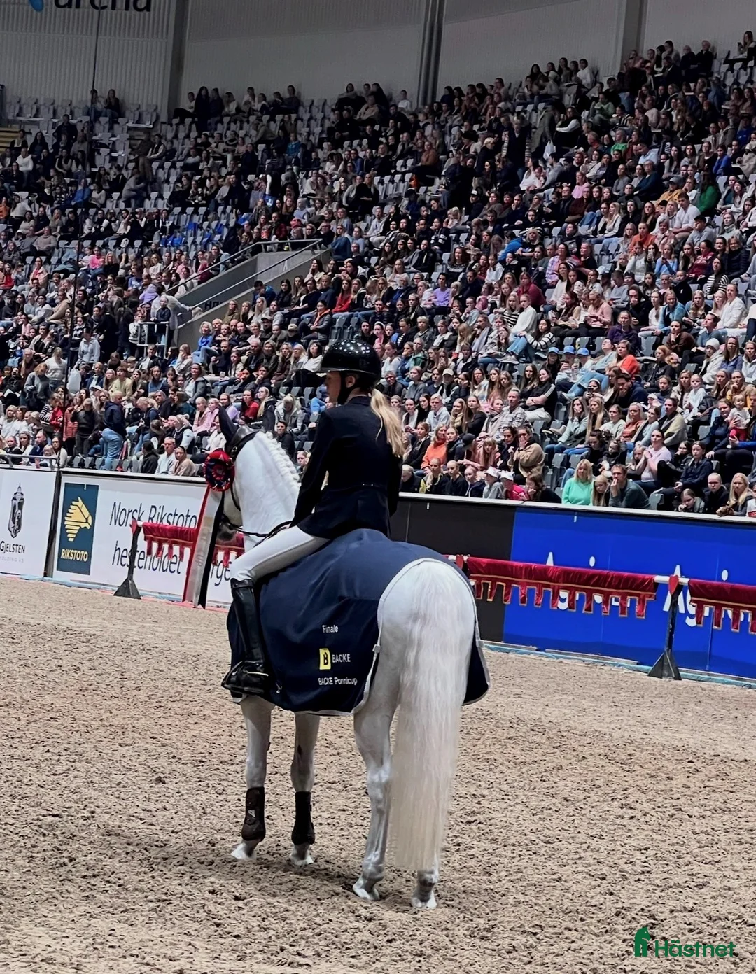 Hoppning hästar till salu: Topp kat.1 ponni til salgs i Bryne - Annons 19