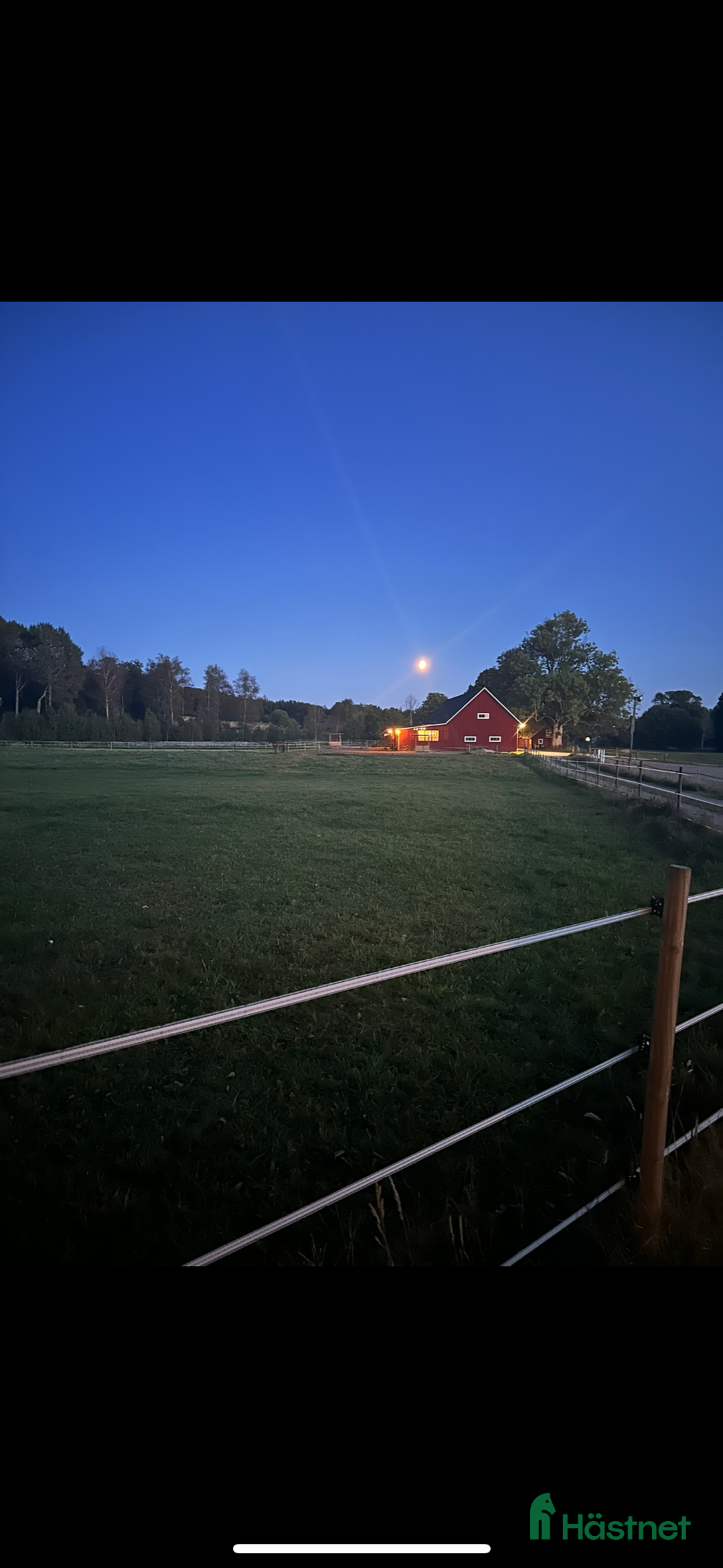  stallplats finnes: Lösdriftsplatser finnes  i Linneryd - Annons 4