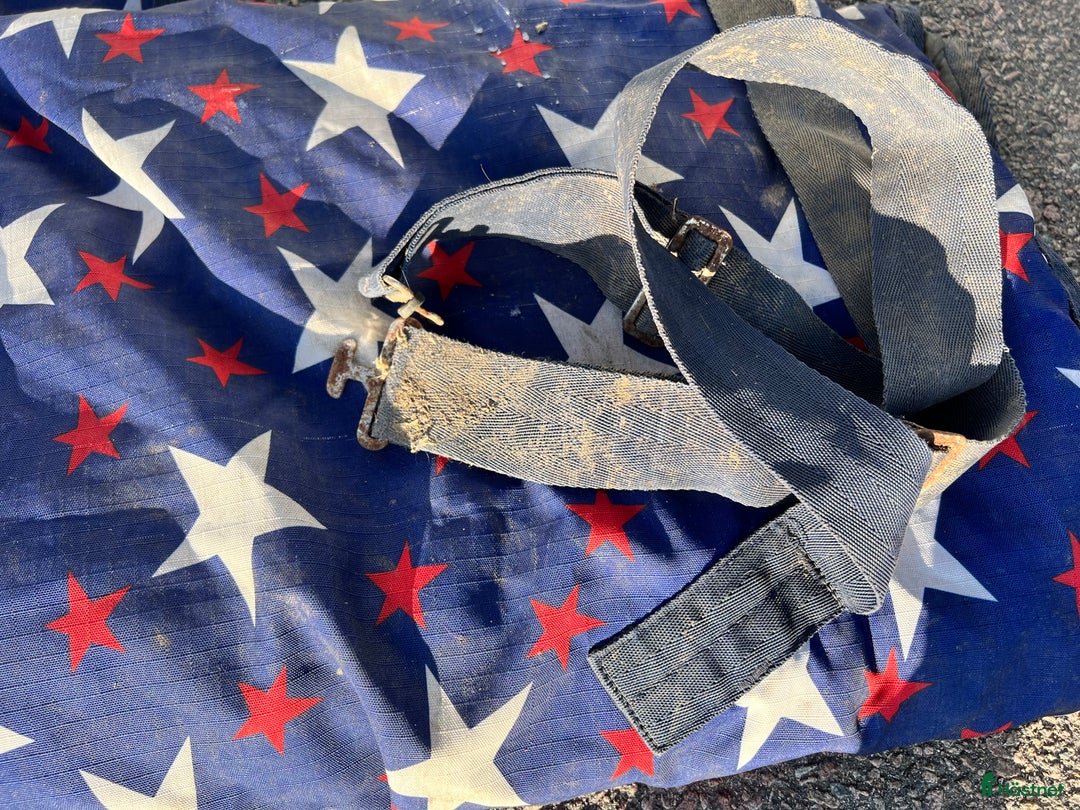 Övrig Hästutrustning hästutrustning till salu: Ponnysaker i Västerås - Annons 17