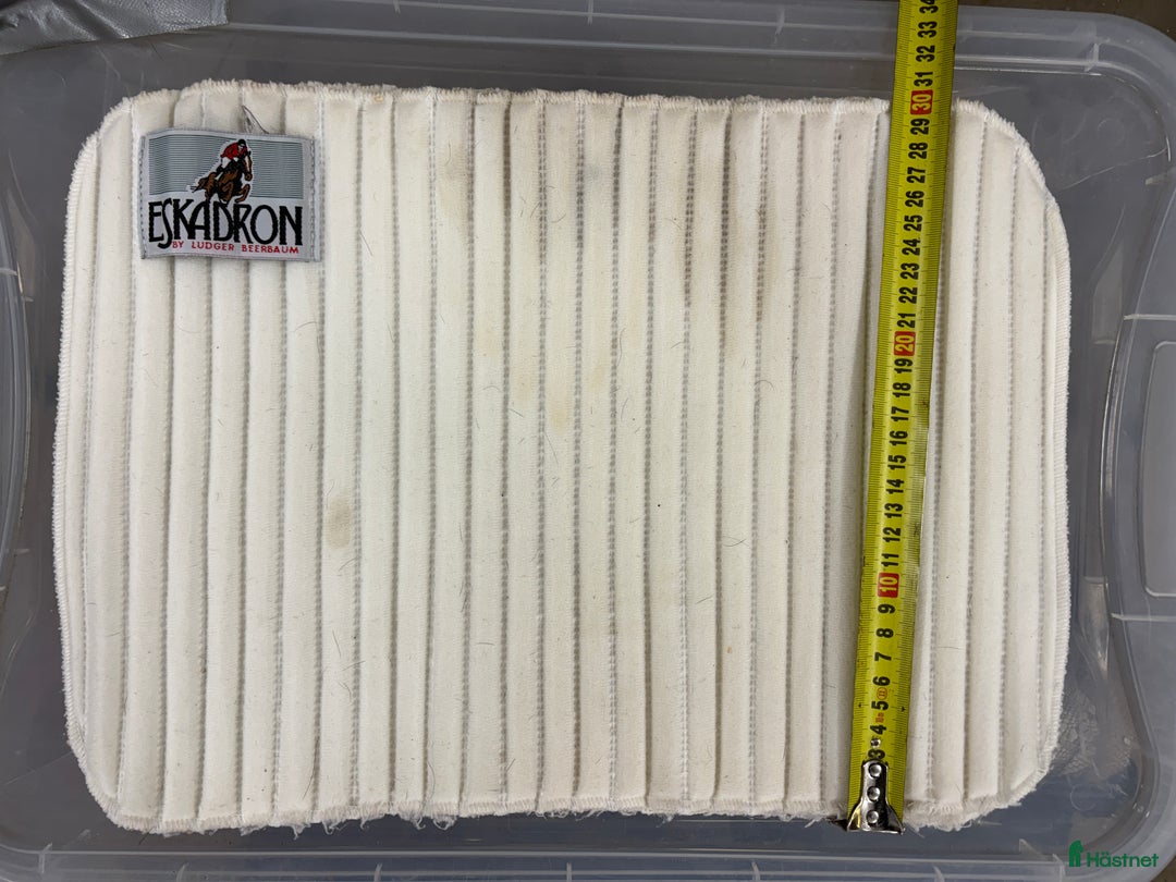 Benskydd hästutrustning till salu: Benpaddar från Eskadron och Mias i Täby - Annons 3