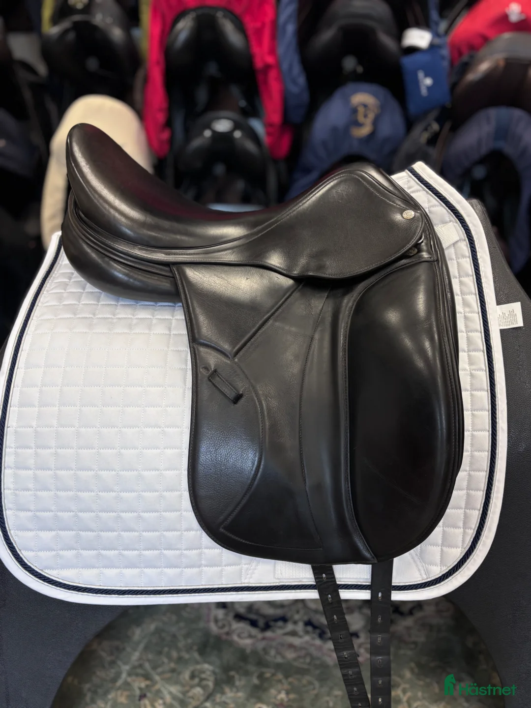 Sadlar hästutrustning till salu: Equipe Boccelli ⭐️ - Annons 2