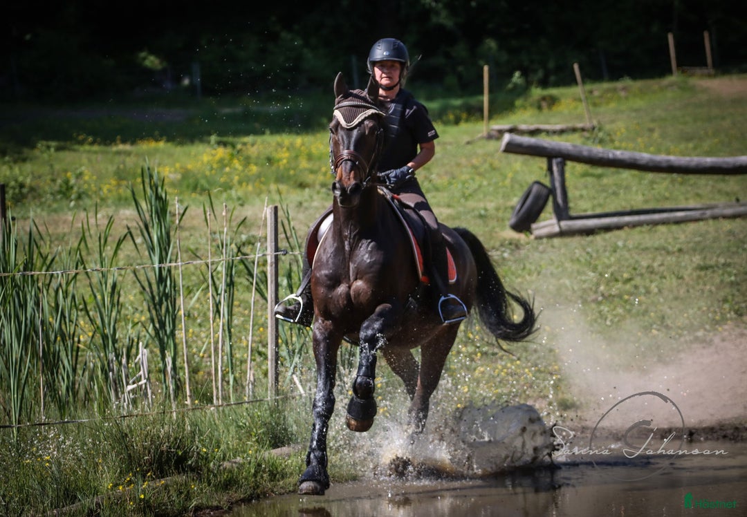  hästservice finnes: Ungdomsläger fälttävlan i Målsryd - Annons 4