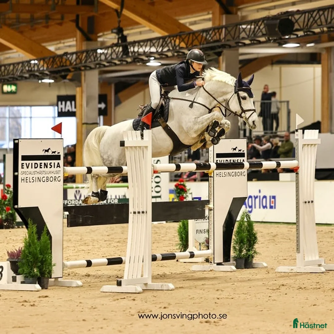 Galleribild {{count}}