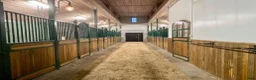  stallplats finnes: Lediga boxar på Strömsholm - Annons 2