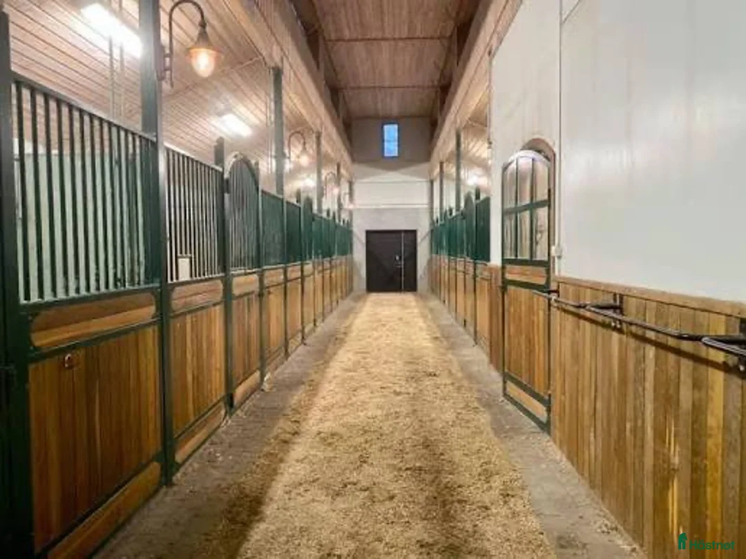  stallplats finnes: Lediga boxar på Strömsholm - Annons 2
