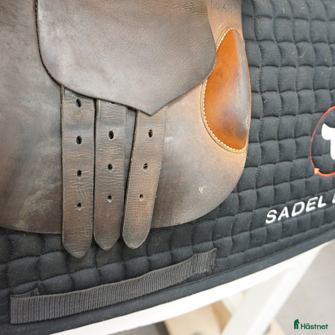 Sadlar hästutrustning till salu: Butet M 16,5" - petit storlek! i Upplands Väsby - Annons 7