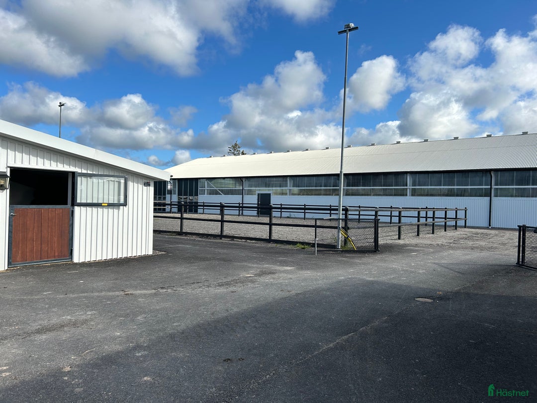  hästjobb finnes: Ansvarsfull medarbetare sökes i Kungsbacka - Annons 3