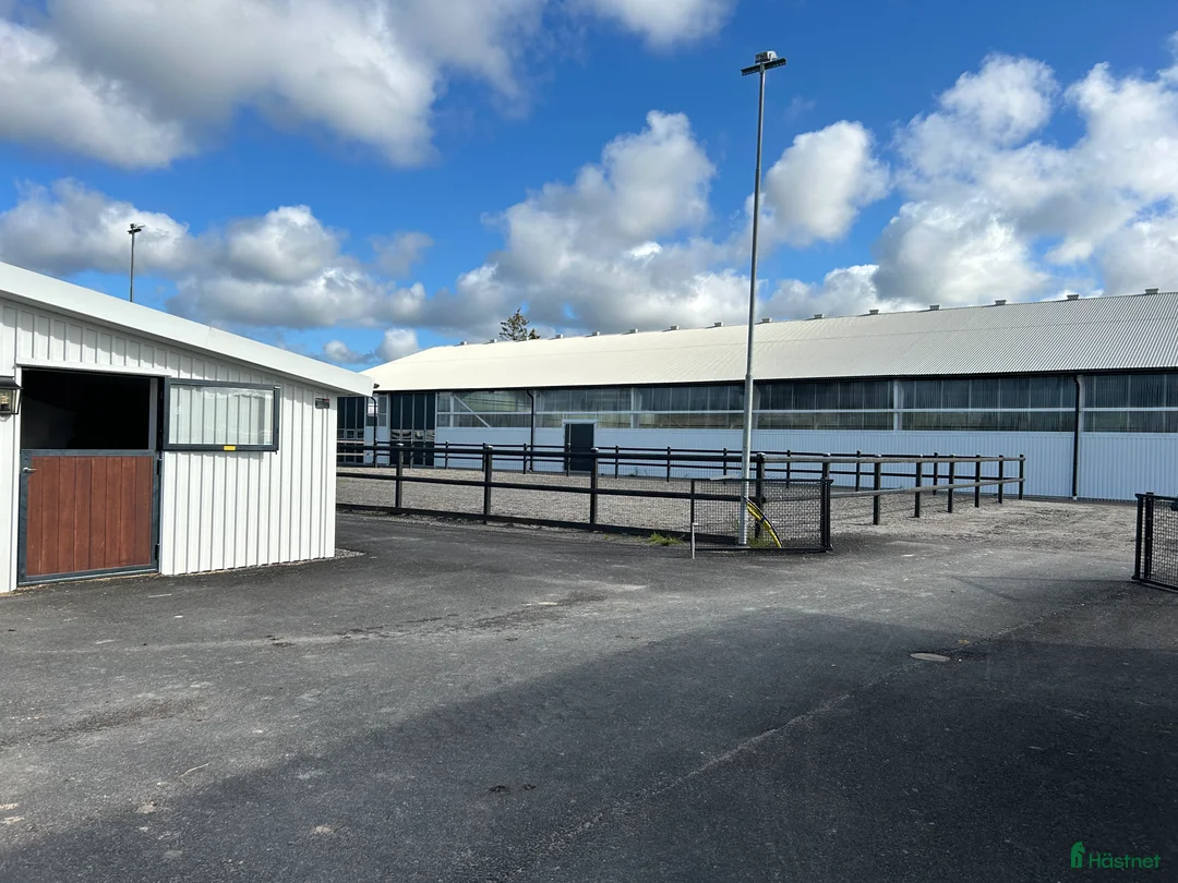  hästjobb finnes: Ansvarsfull medarbetare sökes i Kungsbacka - Annons 3