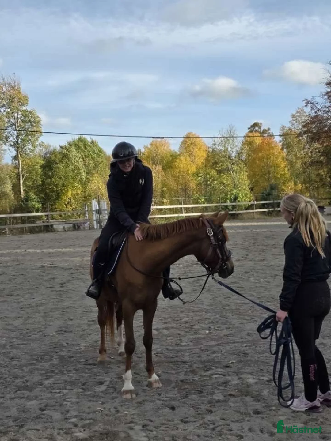 Allround hästar till salu: ✨ CHARMIGT FRAMTIDSÄMNE – C-PONNY STO F. 2022 ✨ - Annons 2