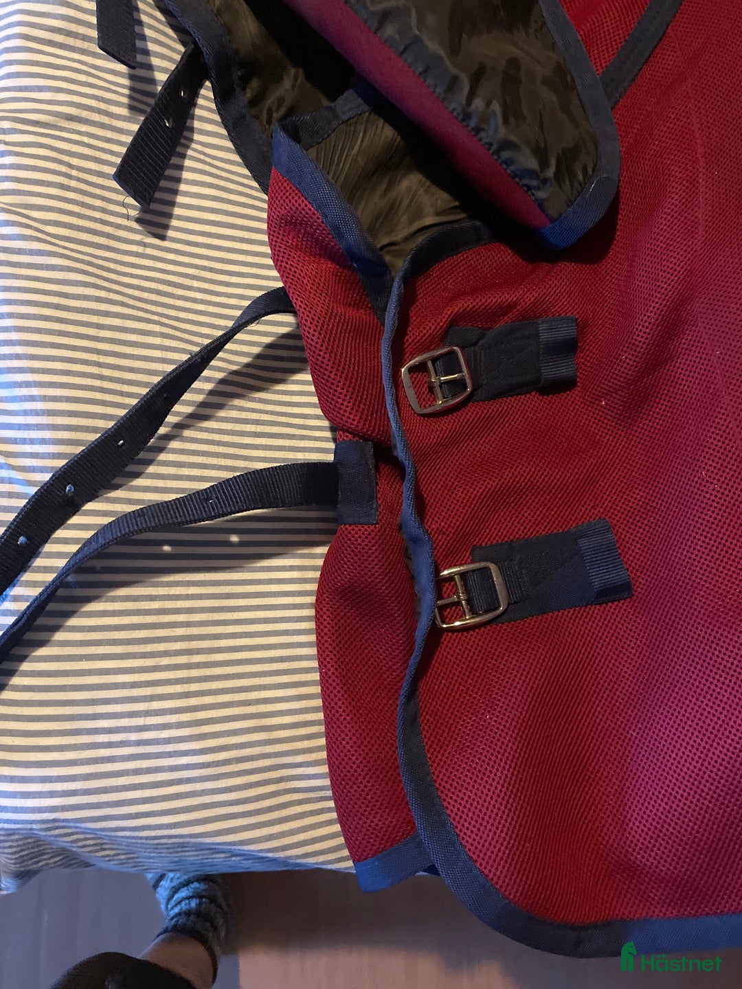 Täcken hästutrustning till salu: Svettäcke med hals i Gävle - Annons 5