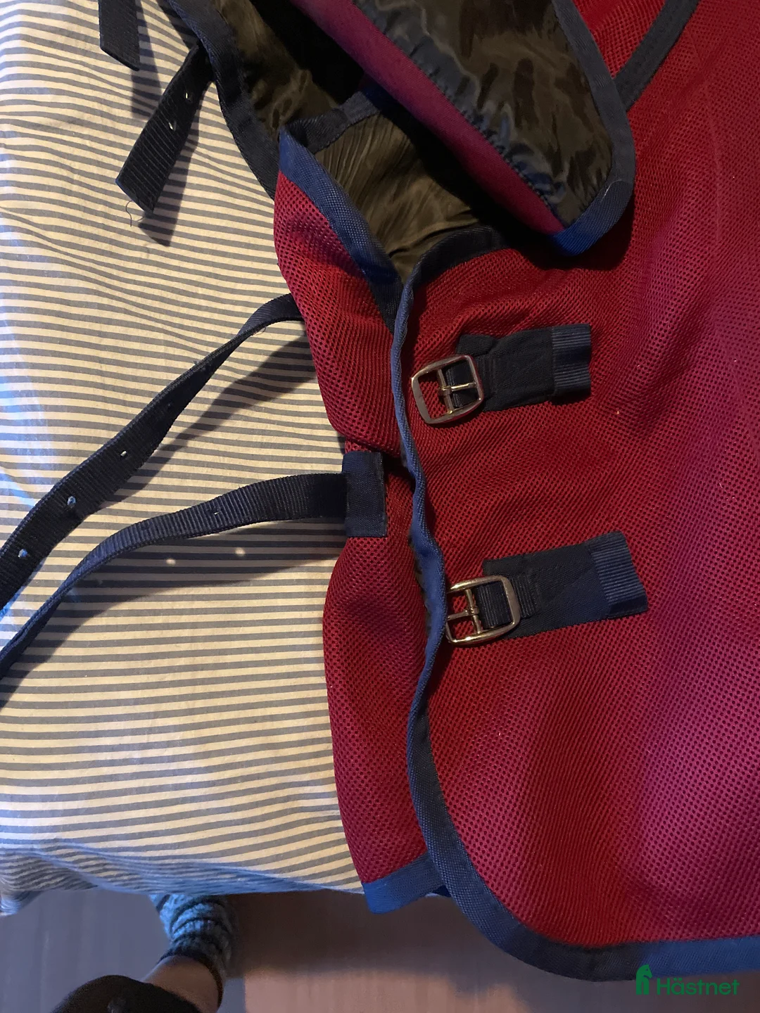 Täcken hästutrustning till salu: Svettäcke med hals i Gävle - Annons 5