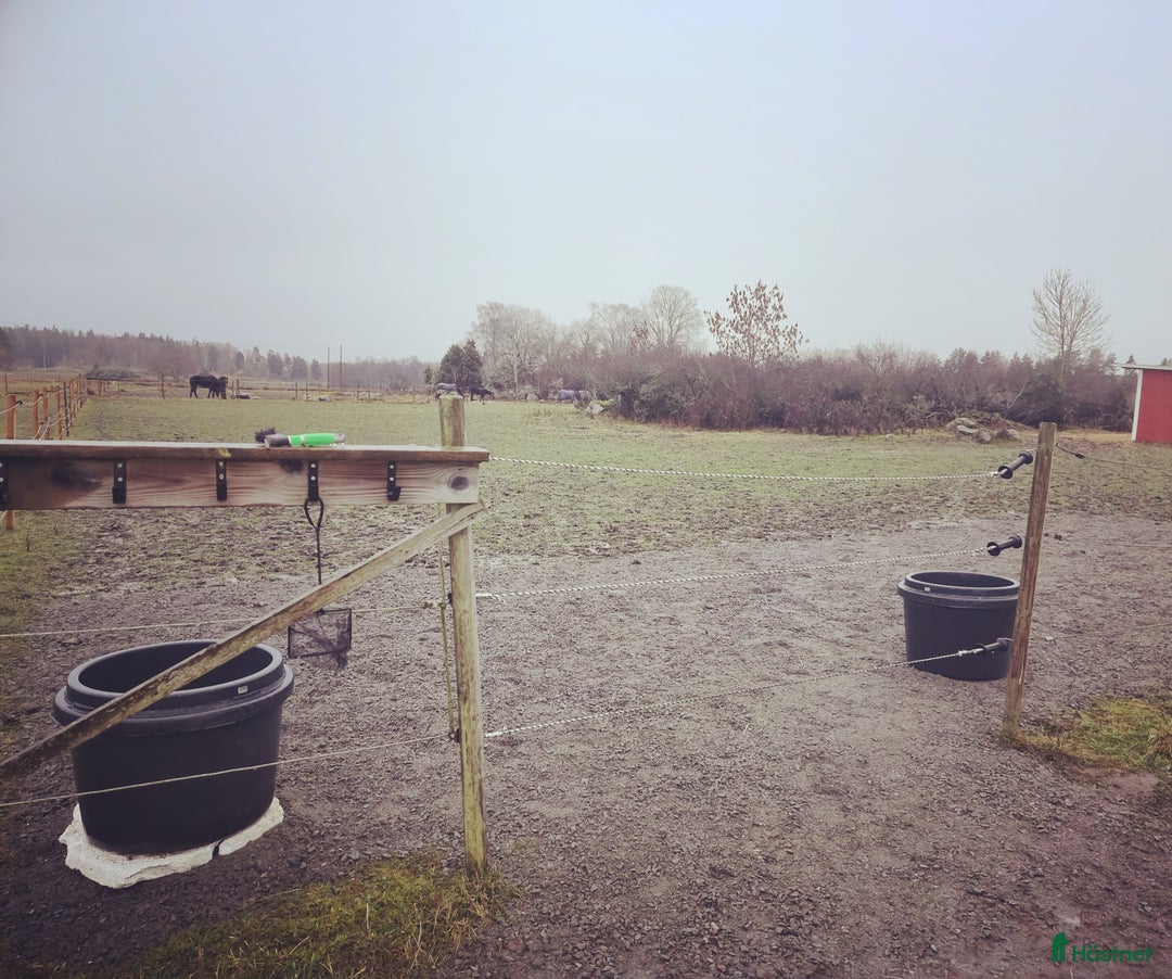  stallplats finnes: Stallplats Knivsta i Knivsta - Annons 1